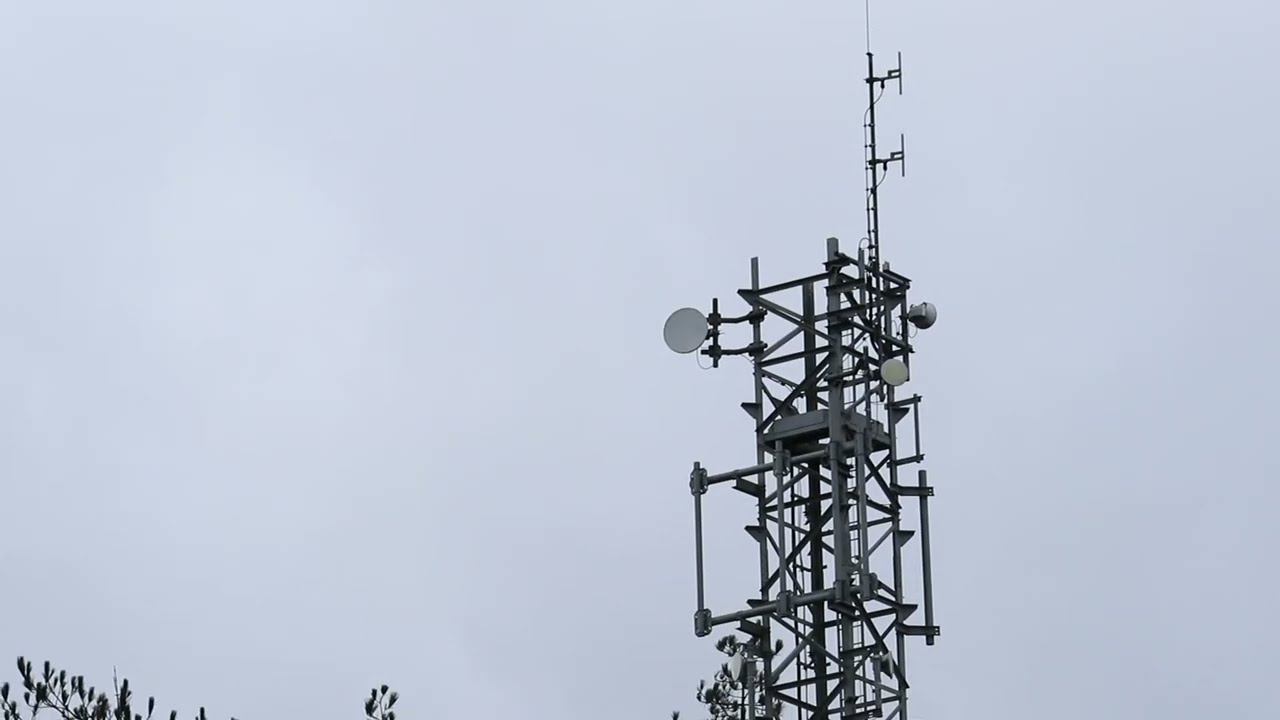 the signal