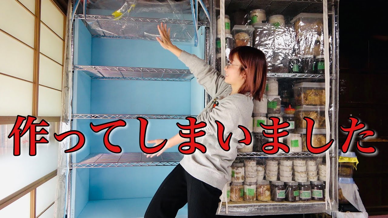 暖房がない部屋でも昆虫飼育を楽しめる方法