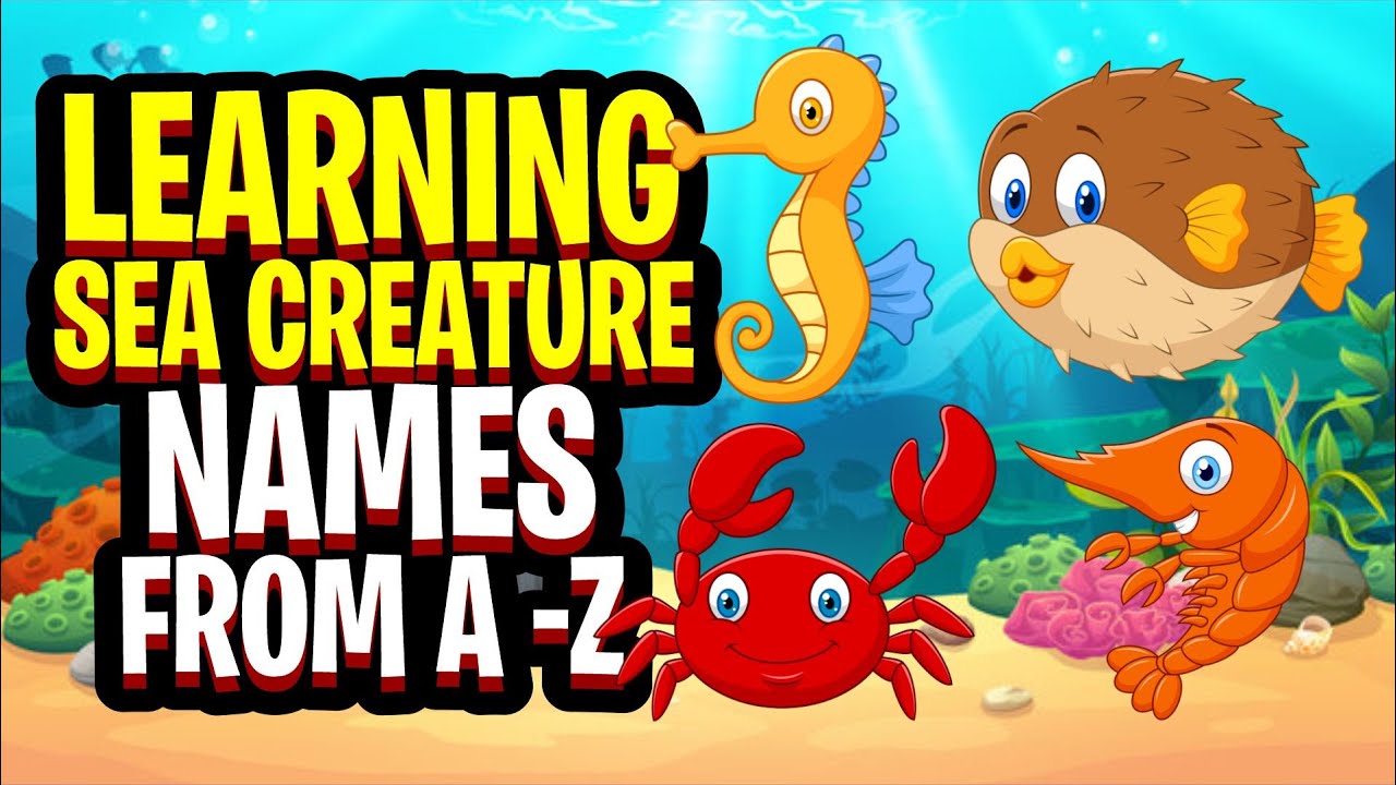 Learning Sea Creature Names with the Alphabet - Early School Learning | Fun Rhymes for School