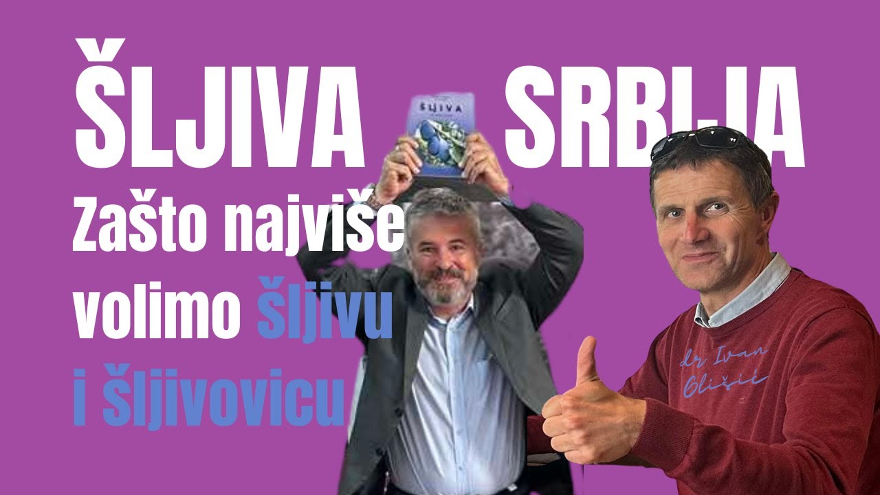 Zašto najviše volimo šljivu i šljivovicu, zašto je šljiva toliko lekovita i bitna za naš narod!?!?