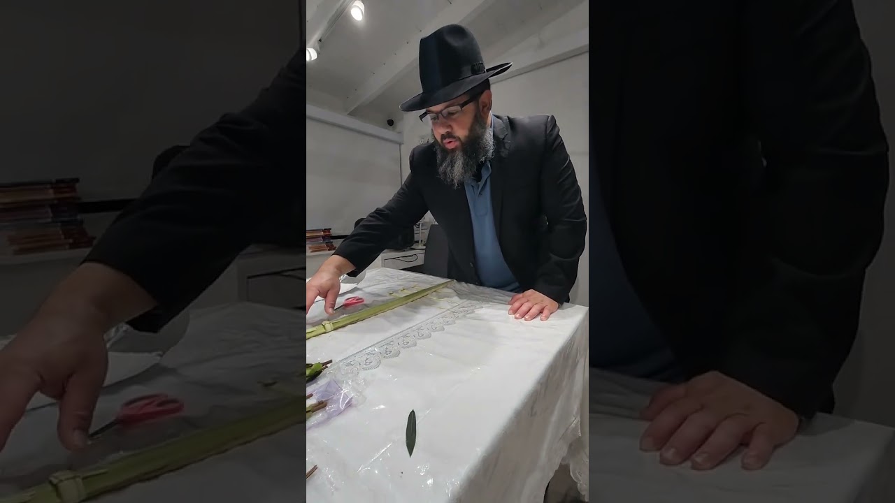 Armando el Lulav para Sukot