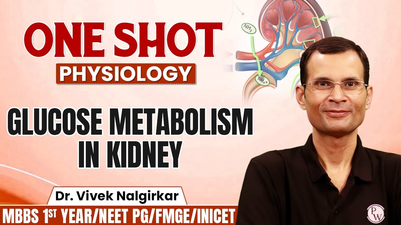 Glucose Metabolism In Kidney | Physiology MBBS 1st Year | INICET /FMGE/NEET PG | Dr Vivek Sir