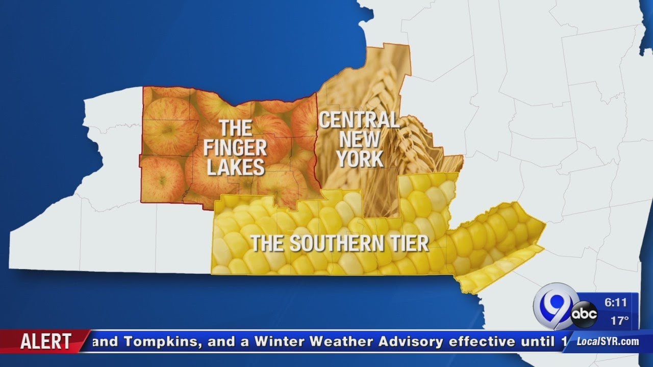 Grow New York helping agriculture busineses