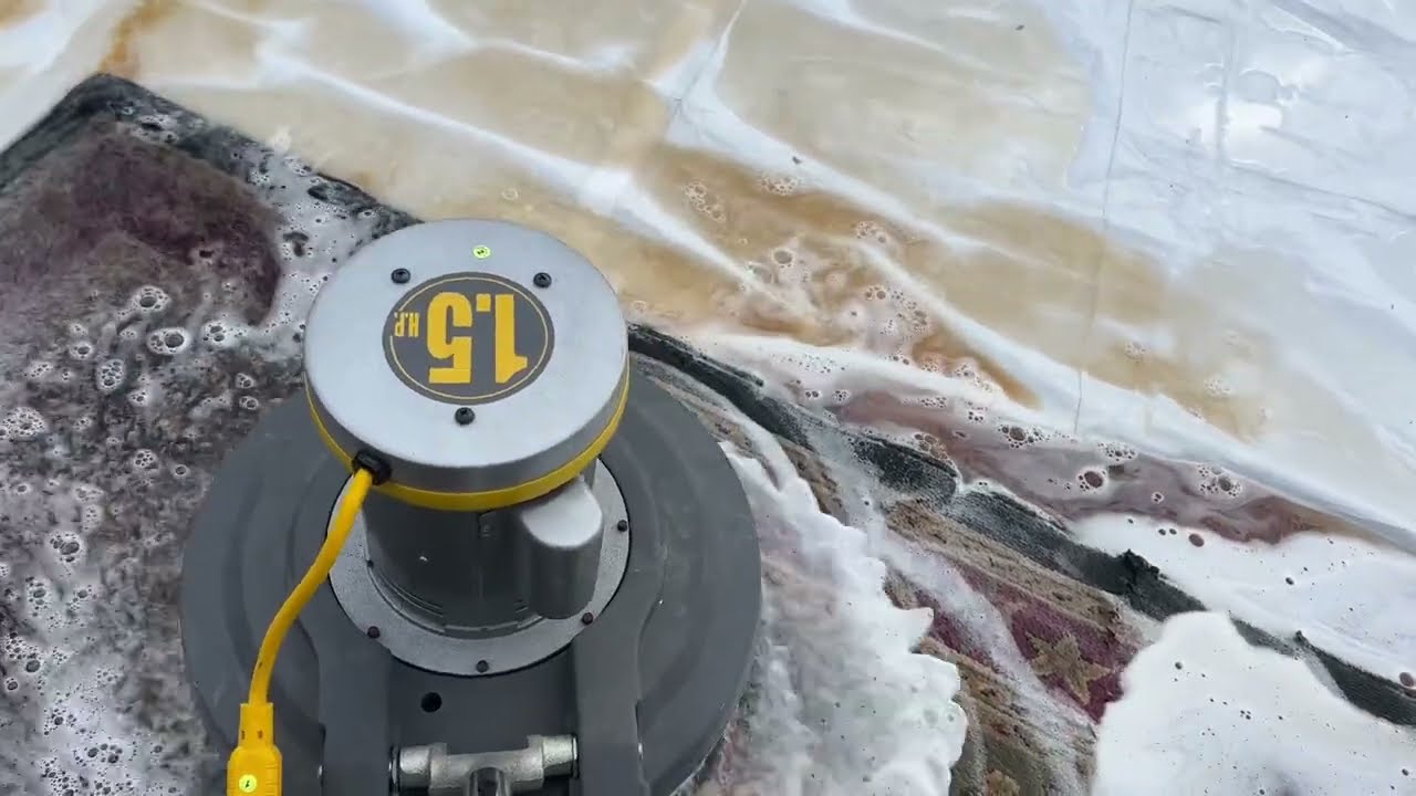 🤢🤮 DISGUSTING Rug Cleaning in Fort Smith, AR 🤯