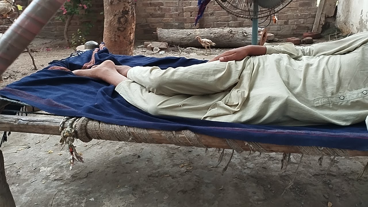 Sleeping Outside in Daylight ☀️ | Peaceful Outdoor Relaxation & Nature Sounds