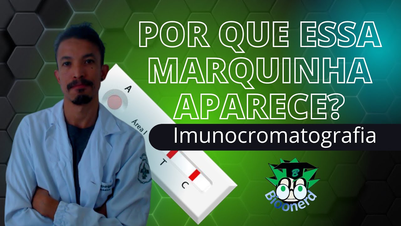 Imunocromatografia (testes r&aacute;pidos)