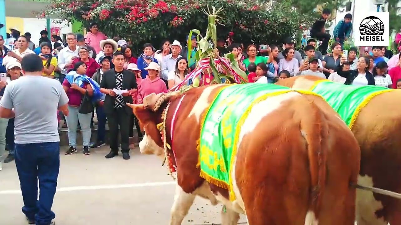 La Cuesta de Fiesta Perú 2024