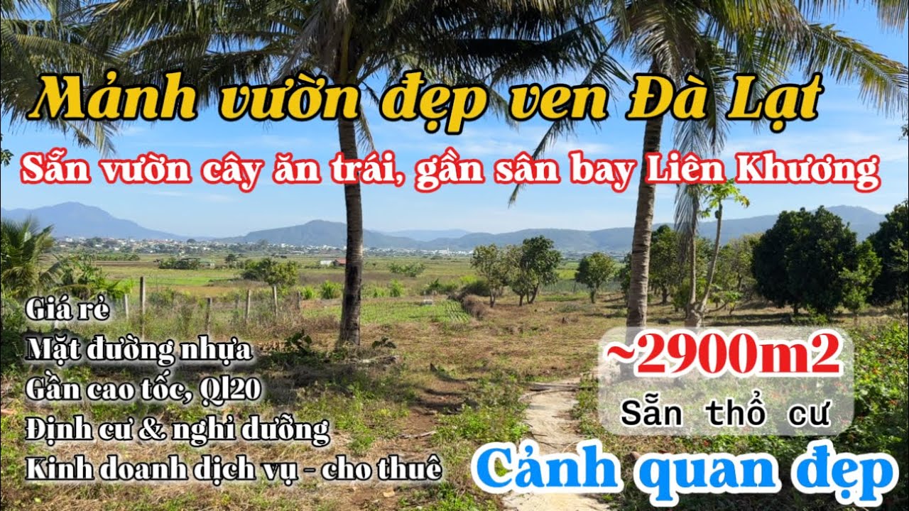 Mảnh vườn đẹp có cây ăn trái ven Đà Lạt gần sân bay Liên khương GIÁ RẺ ~3000m2 trung tâm Đức Trọng..