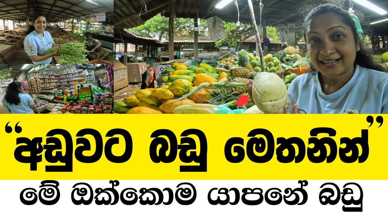 අඩුවට බඩු ගන්න මෙතනට යන්න ...Jaffna Market Tour Travel with Udeshi