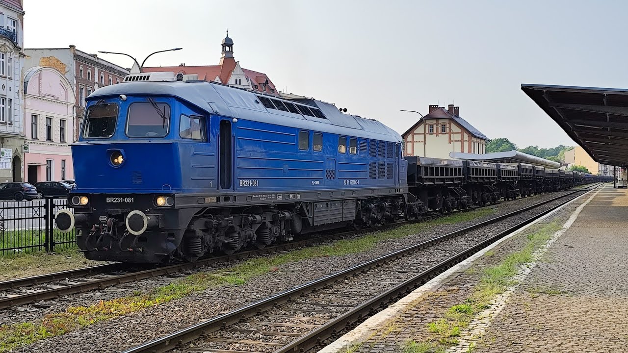 BR231-081 Omniloko z Radwanami na stacji Świdnica Miasto | PŚ #442