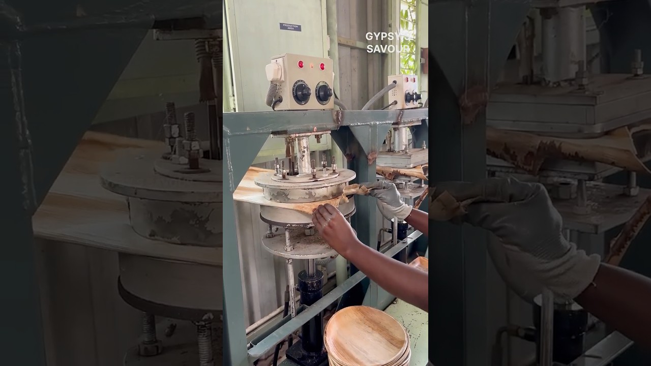 Areca leaf organic Plate Manufacturing