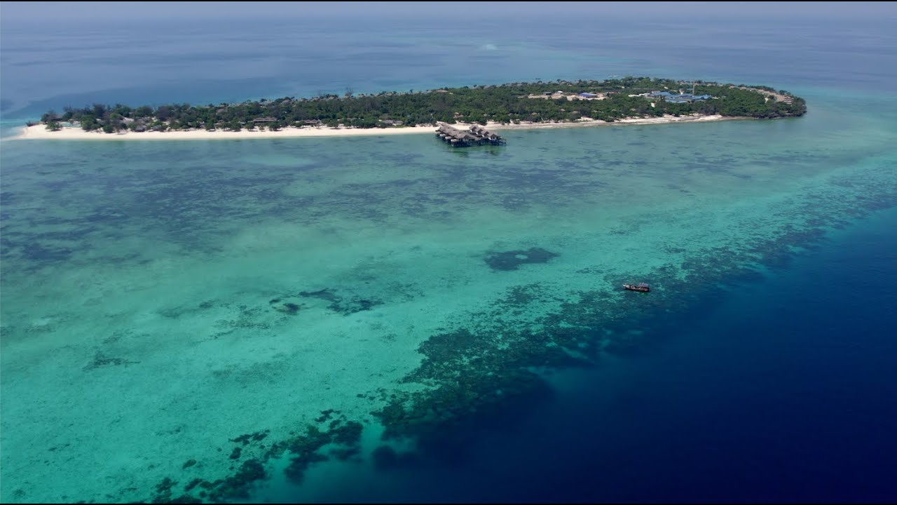 WCS Coral Reef Monitoring - Bawe Island
