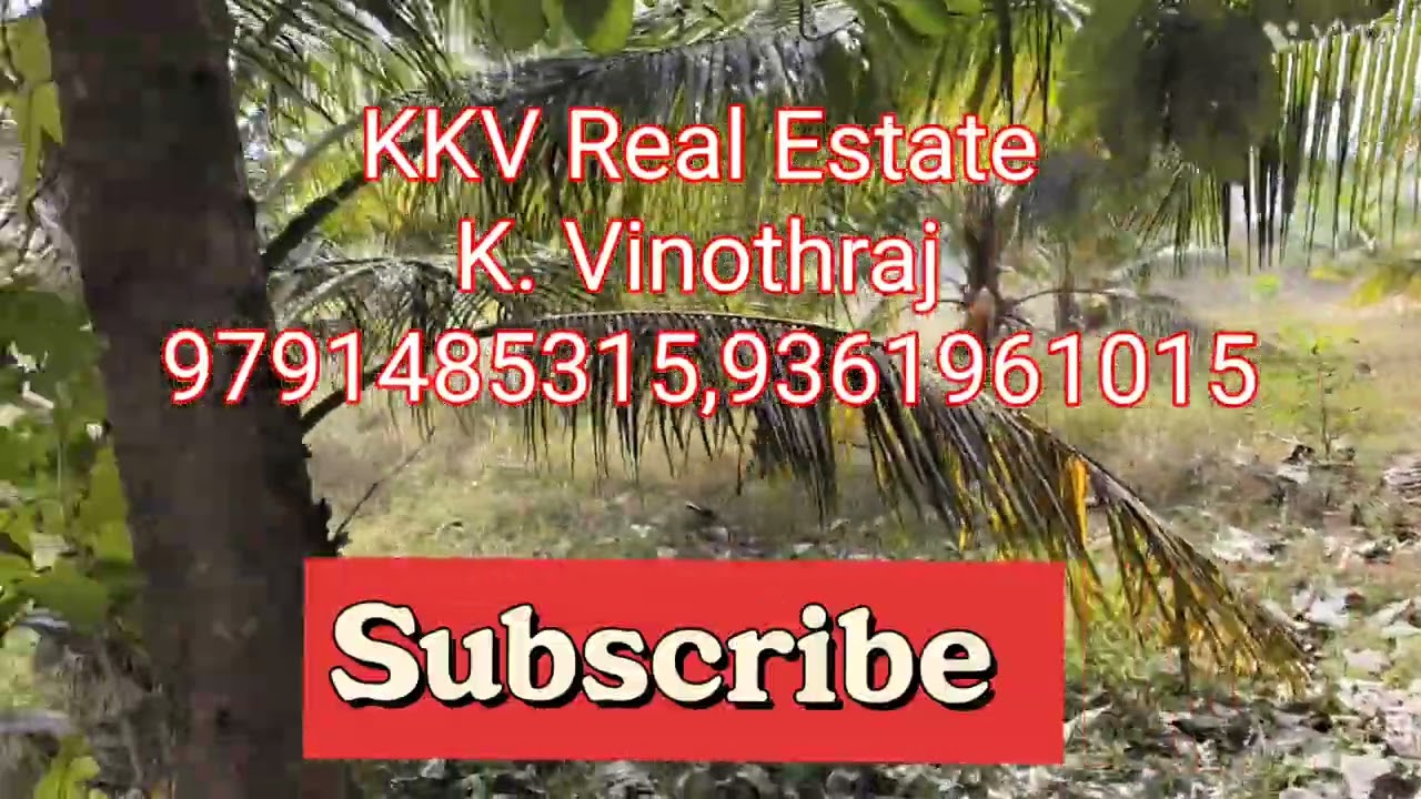 Ad No:139. 5.84 cent teak trees and Coconut tree farm land for sale near ECR Kadapakkam near 