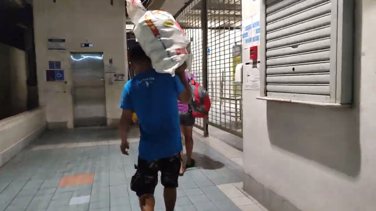 Walk to EDSA Carousel Guadalupe  Station