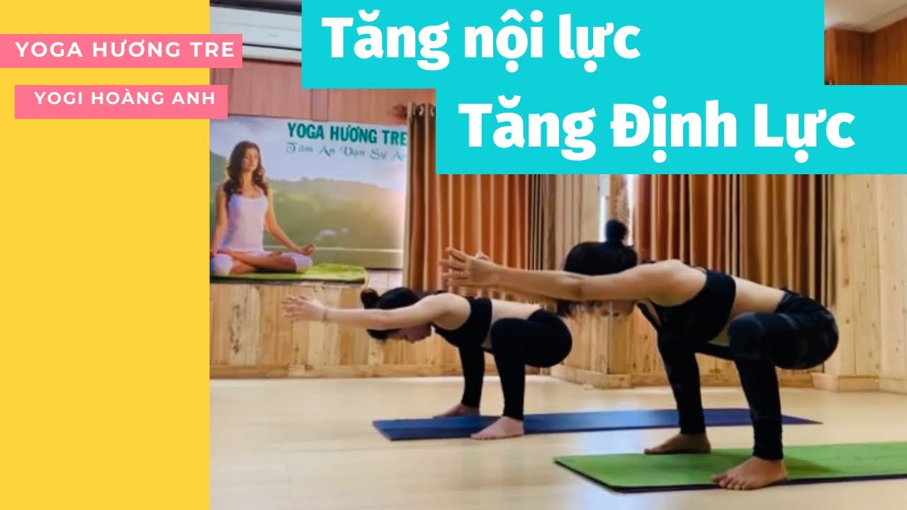 Yoga tăng sức đề kháng | Yoga Hương Tre | Yogi Hoàng Anh