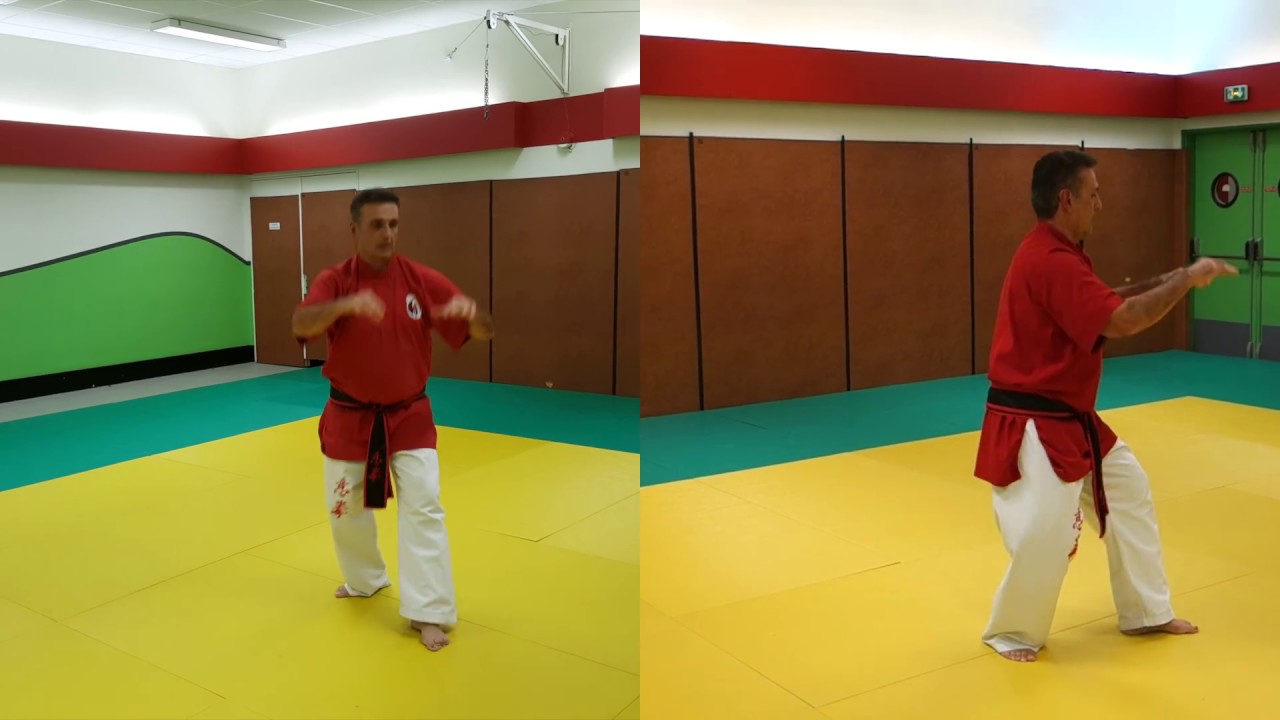 Xia fa li of Yi Quan in 10 steps.  Ilias Calimintzos