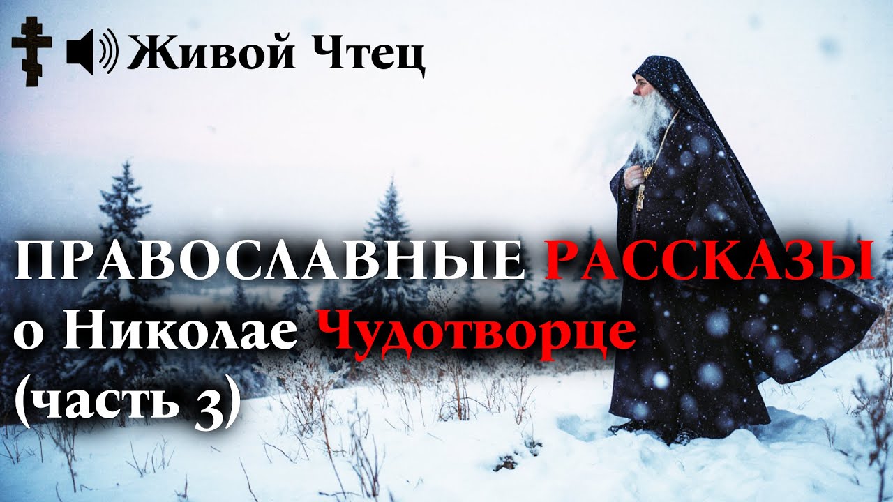 ОТОБРАЛ ИКОНУ У РЕБЕНКА-ИНВАЛИДА, НО ДАЛЕКО УЕХАТЬ НЕ СМОГ... ПРАВОСЛАВНЫЕ РАССКАЗЫ (часть 3)