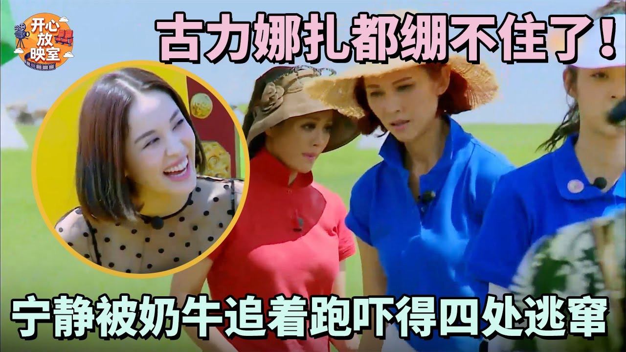 古力娜扎都绷不住了！宁静被奶牛追着跑吓得四处逃窜，谢娜：活该你被追｜偶像时刻