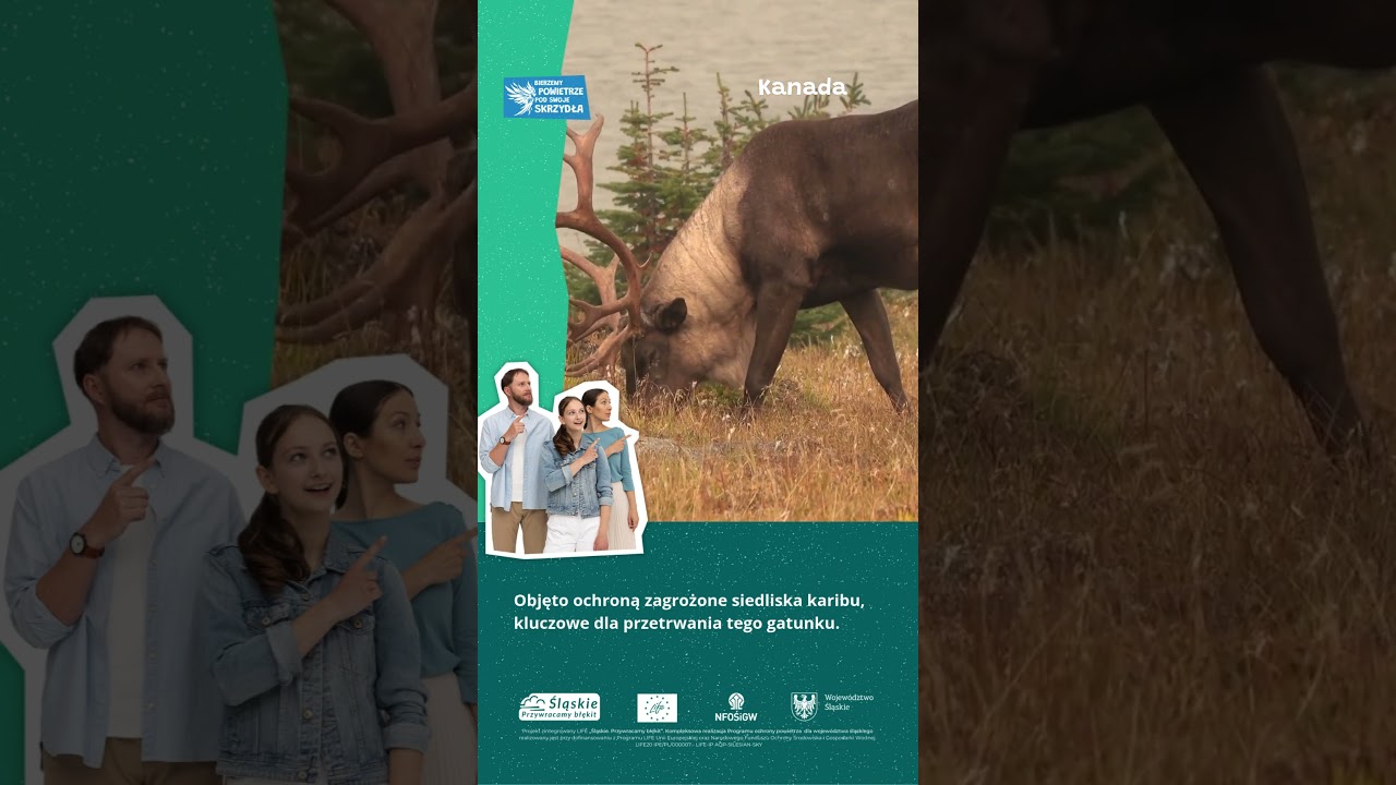 Rok działań na rzecz ochrony bior&oacute;żnorodności &ndash; wybrane z 2024 roku