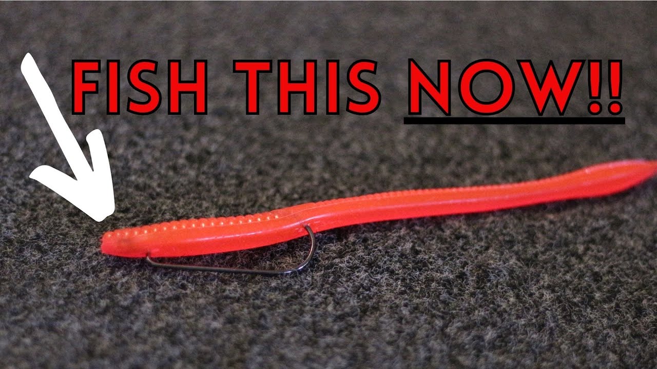 Советы по ловле подлещика Zoom Trickworm прямо сейчас!