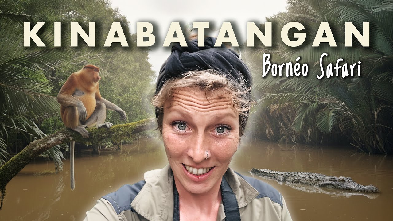 SAFARI de 3 jours sur la rivi&egrave;re KINABATANGAN &agrave; Sabah ! | Born&eacute;o Ep.5