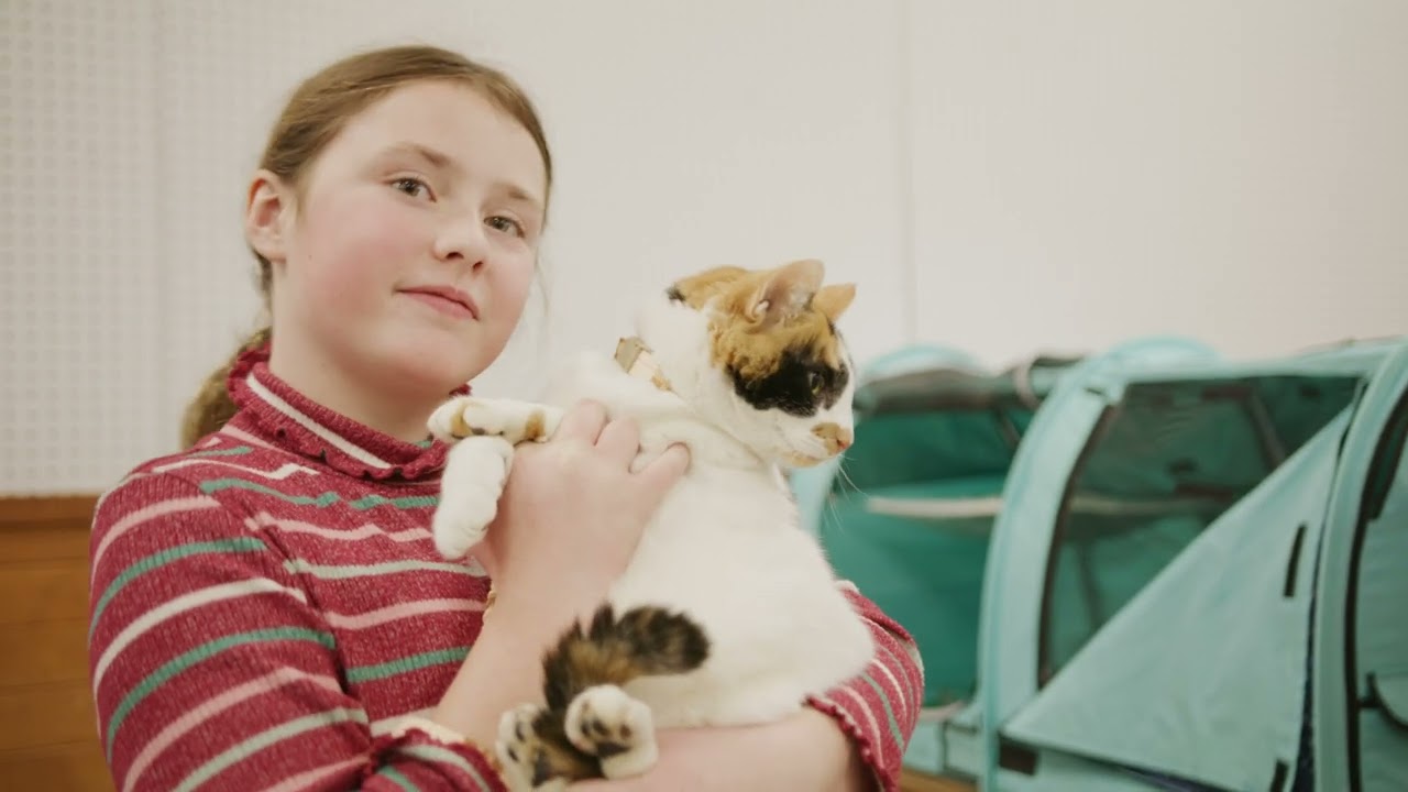 4-H Critter Campus: Youth Learn & Lead Through Small Animal Projects