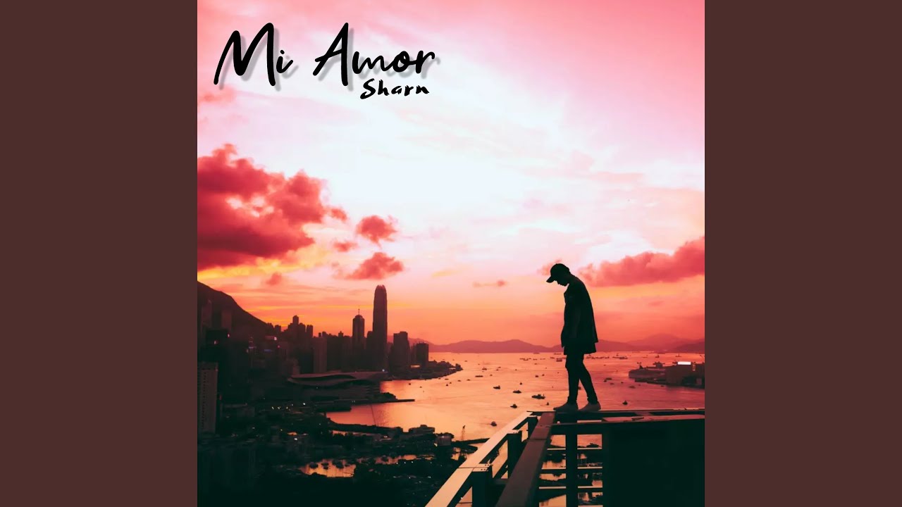 Mi Amor (Remix)