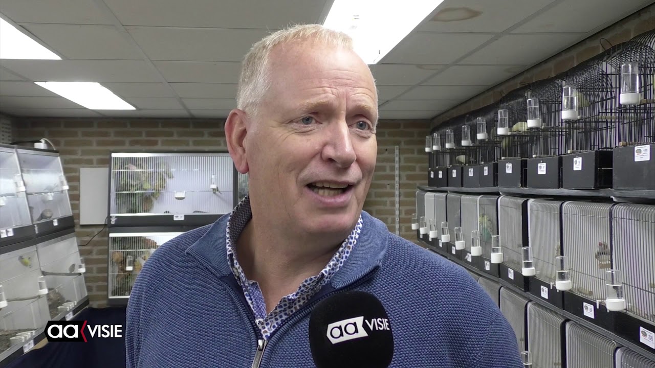 Vogeltentoonstelling De Goudvink in 't Boaken