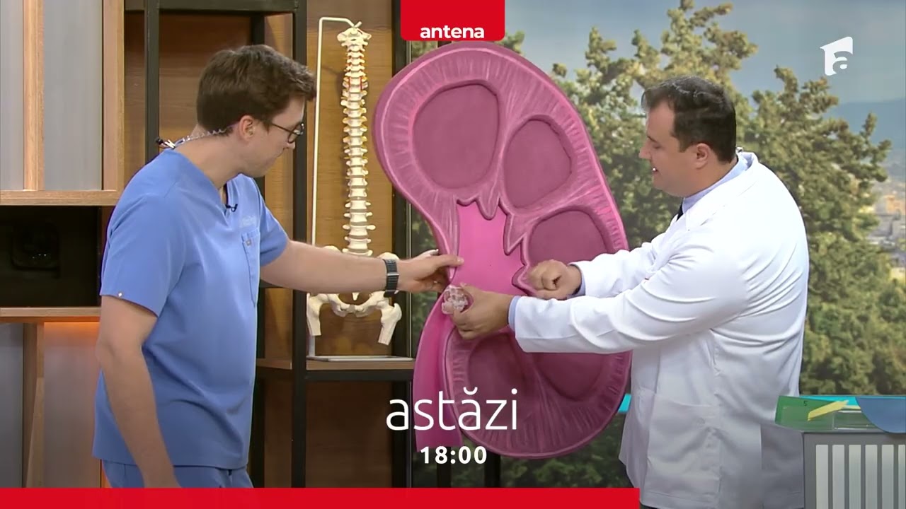 Ai porția zilnică de bună dispoziție de la 17:00 cu Ești mai deștept decât un copil de clasa a 5-a?