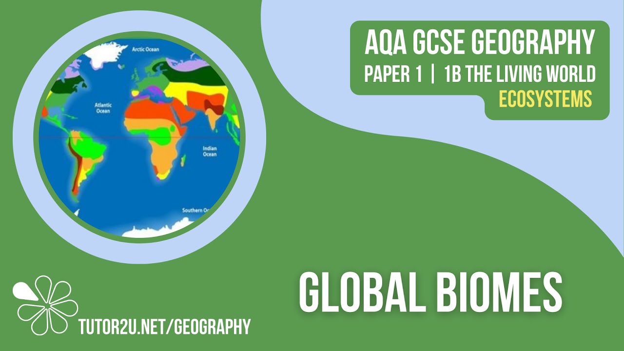 Глобальные биомы | География AQA GCSE | Экосистемы 4