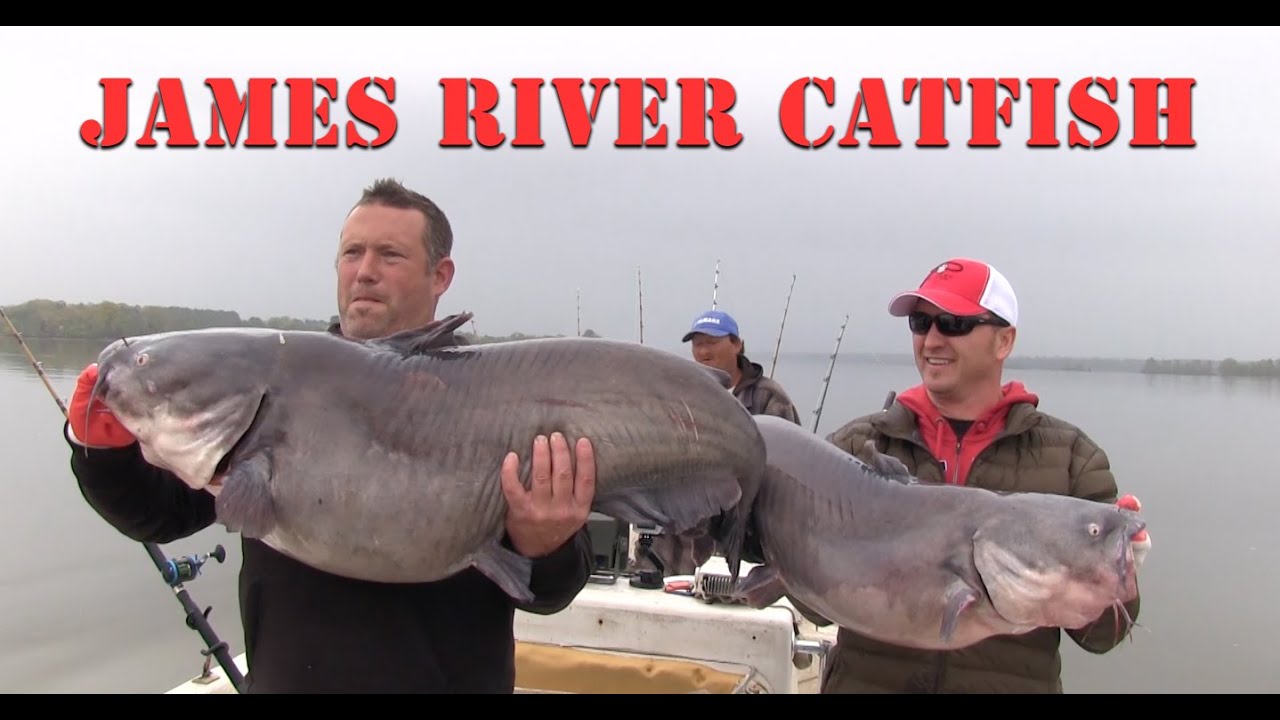 James River Catfish Fishing