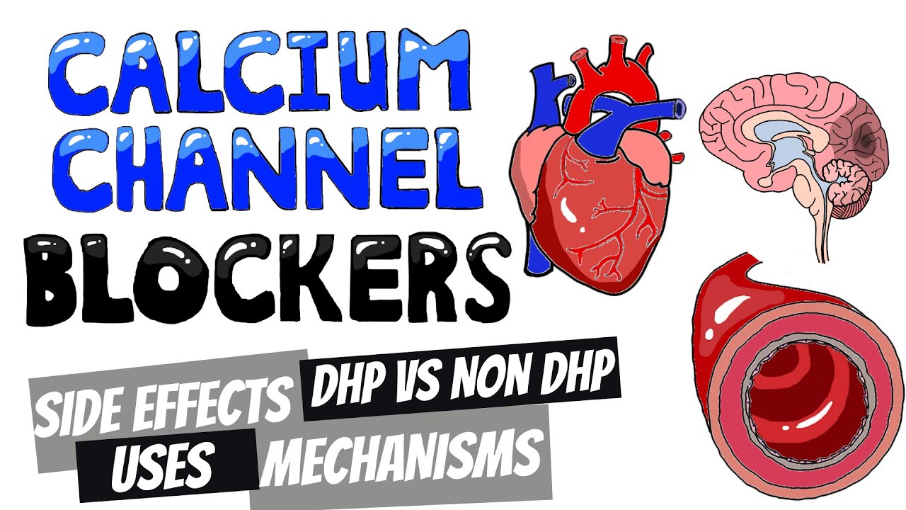 Dihydropyridine v Non Dihydropyridine Calcium Channel Blockers (CCB) | Calcium Channel Blocker Uses