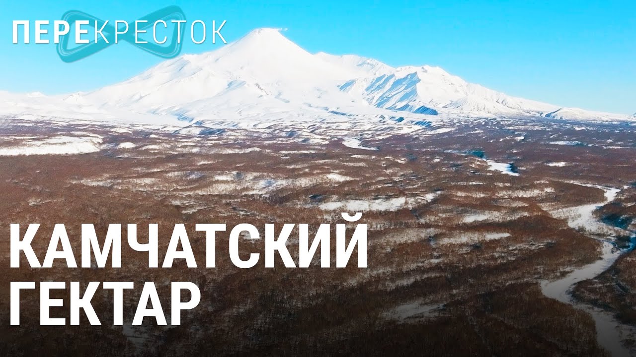 Камчатский гектар | ПЕРЕКРЁСТОК