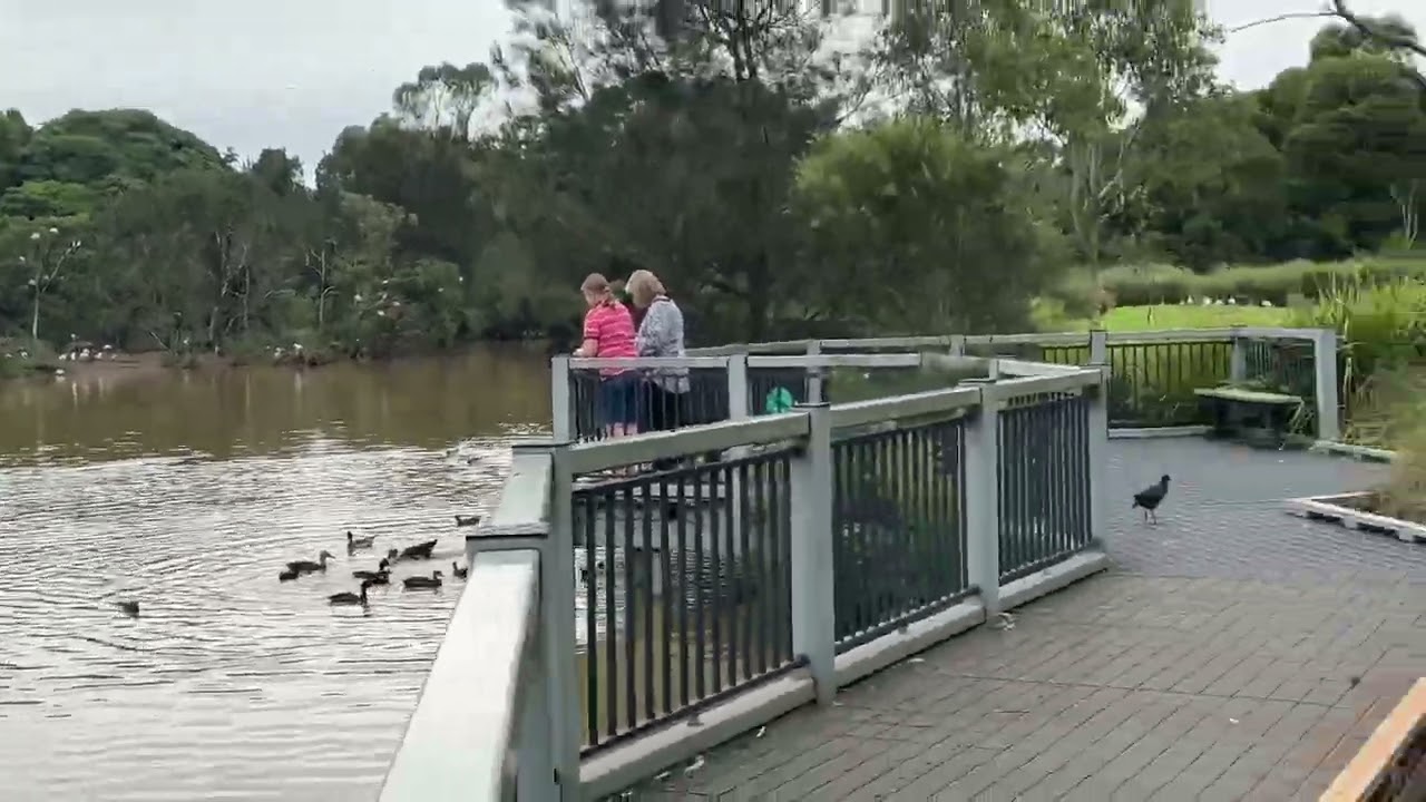Toowoomba Waterbird Habitat