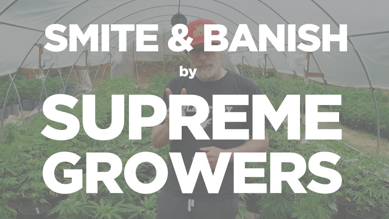 SMITE and BANISH by Supreme Growers