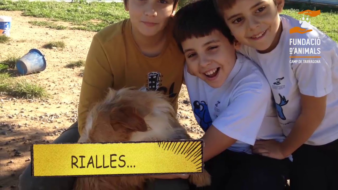 Xocolatada entre voluntaris, apadrinadors i simpatitzants de la Fundaci&oacute; d'Animals
