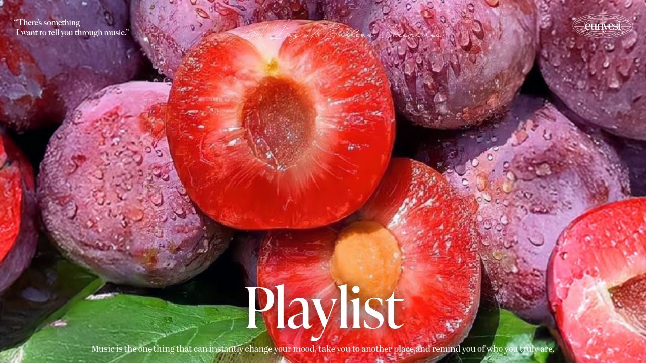 🎧Playlist 자두자두 졸린 날, 기분좋게 잠 깨는 플리🍒 | 도입부터 좋은 팝송 모음