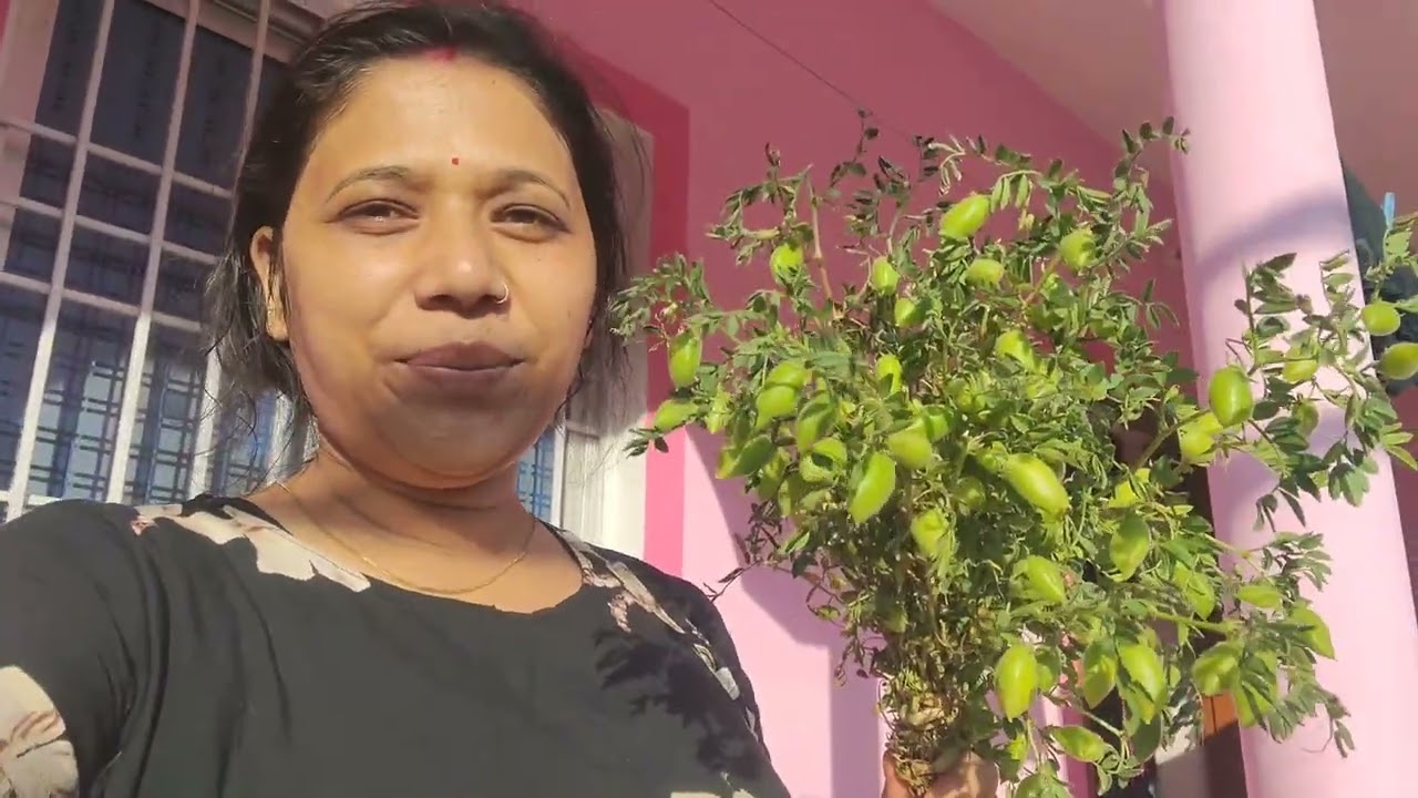 Day 47 Family ke sath valentine's day celebration kiya #dailyvlogschallenge #familytime 