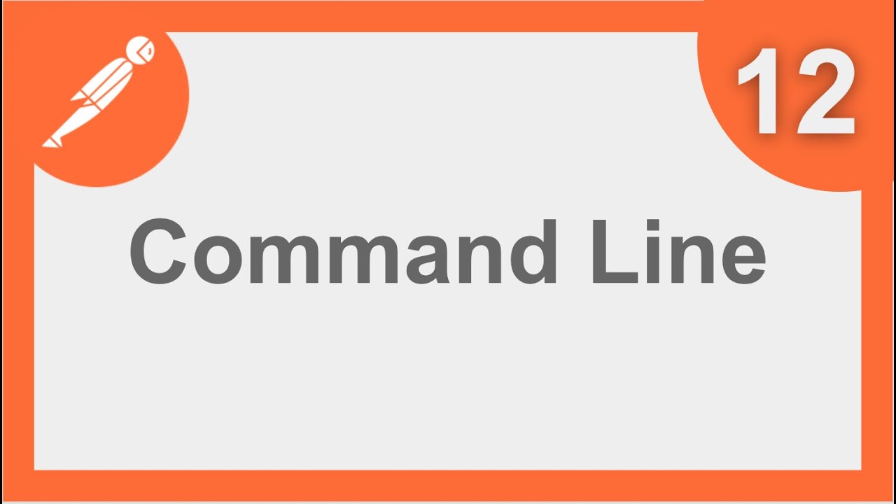 POSTMAN BEGINNER TUTORIAL 12 💡 How to run from Command Line (Newman)