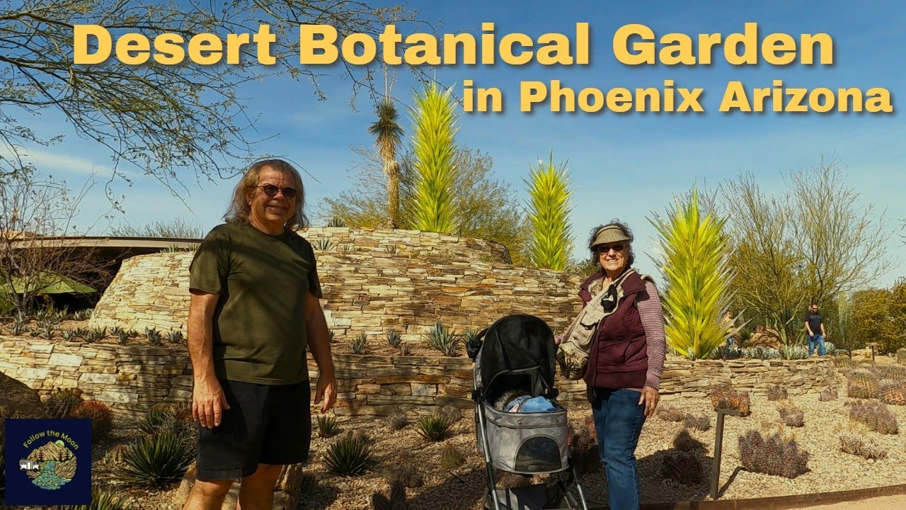 Desert Botanical Garden in Phoenix Arizona