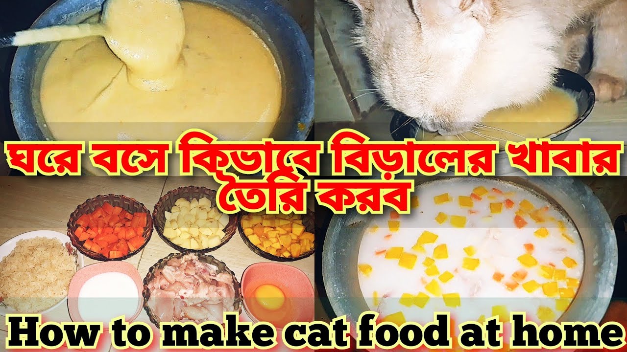 বিড়ালের খাবার তৈরি করুন | Homemade Cat Food Chicken Flavour @ABNipu