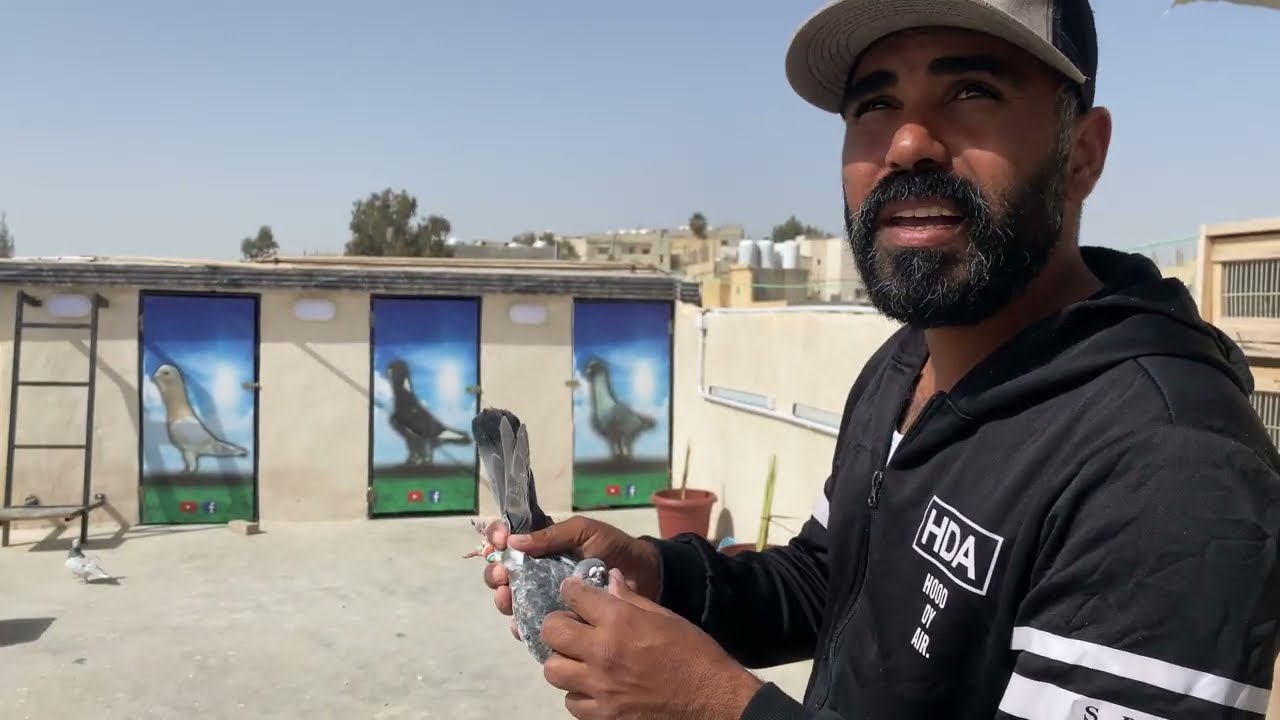 فلت مني طير جديد راح مع جاري شو اعمل معو 🤔🔥