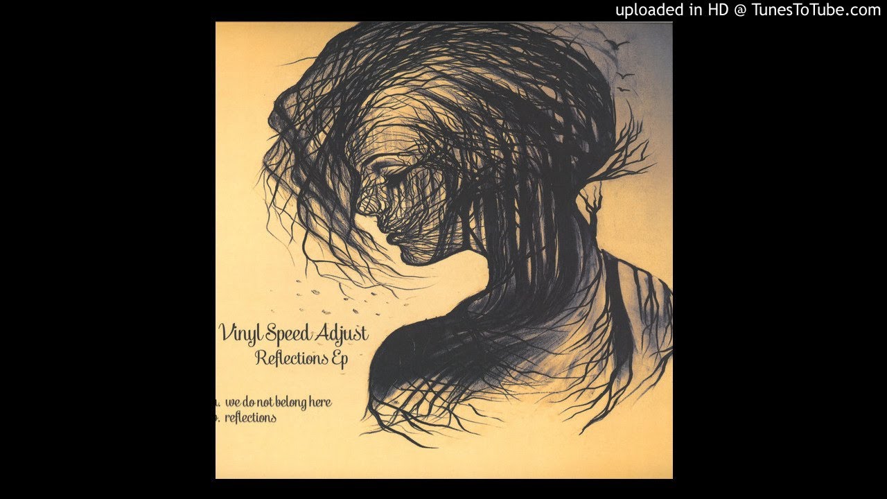 Vinyl Speed Adjust - We do not belong here (VSA Records 2018)