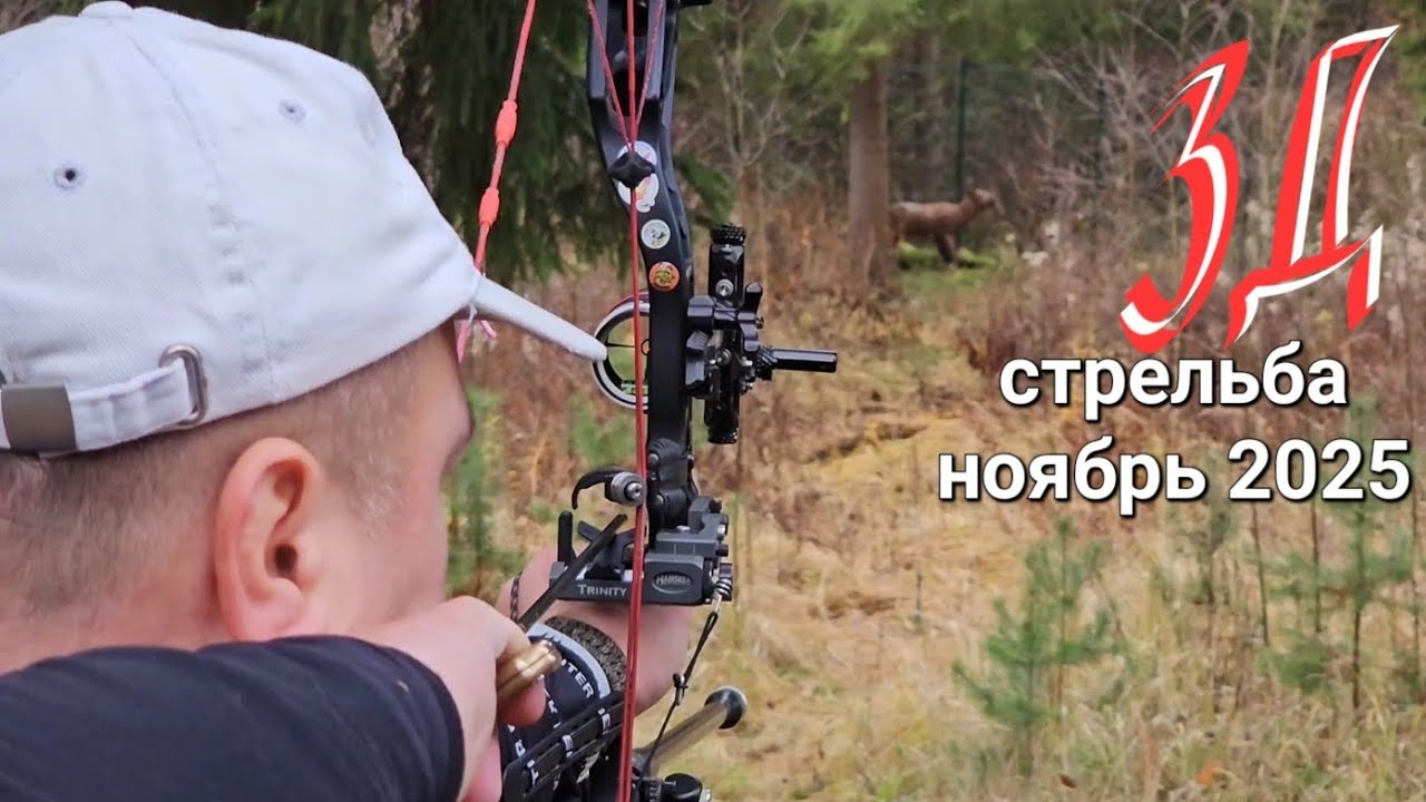 Стрельба из лука. 3Д поздней осенью.