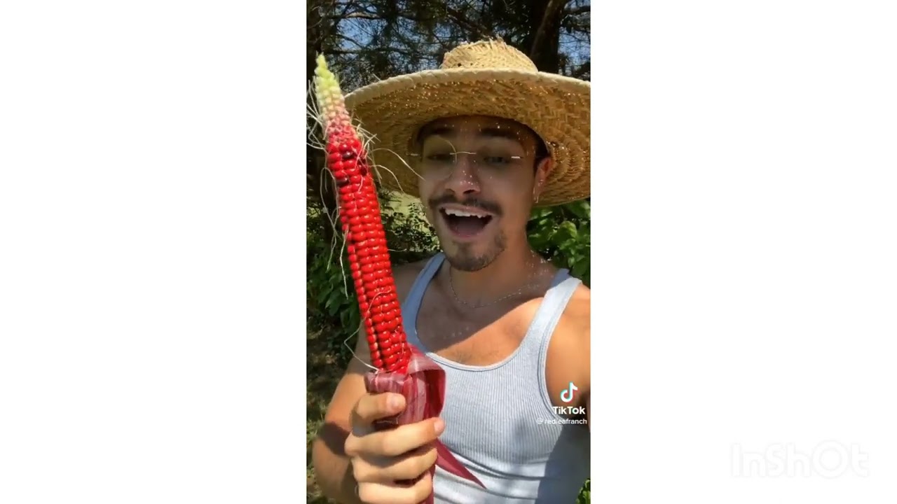 Harvesting videos|| Tiktok Compilation