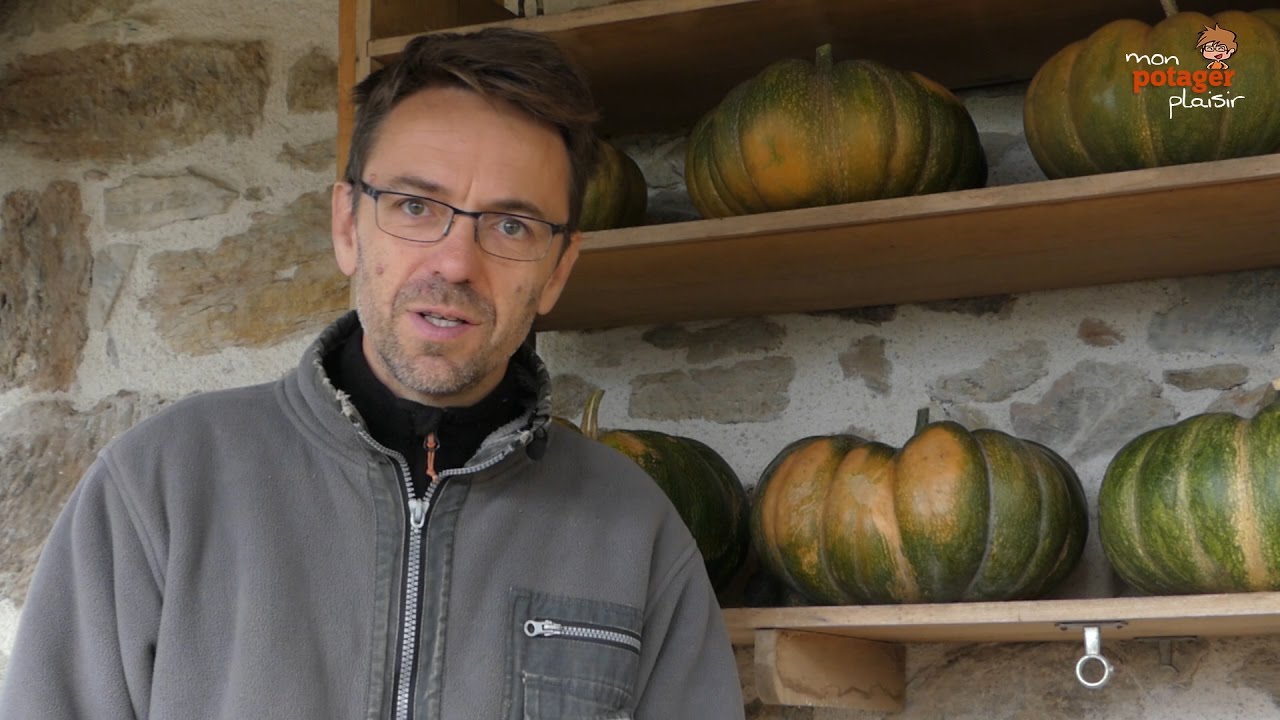 3 astuces pour conserver vos courges tout l'hiver