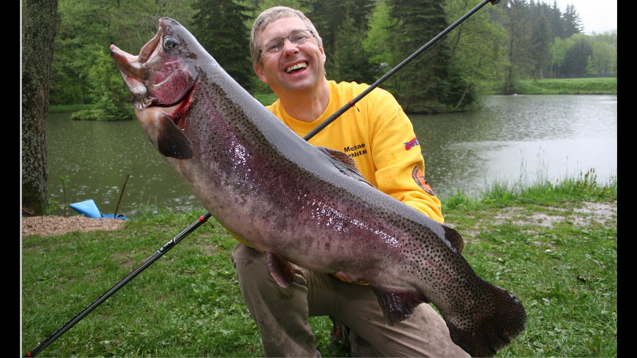 Tremarella für Einsteiger Teil 4 - Dicke Fische - schlanke Ruten