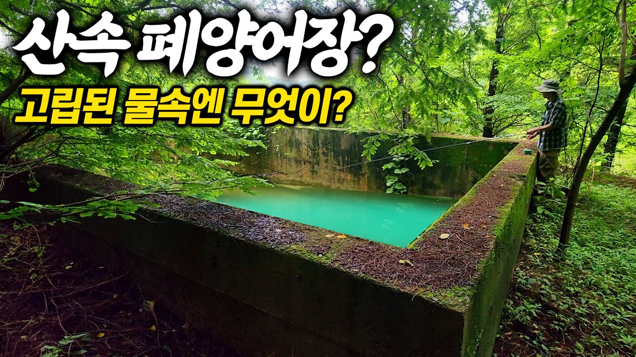 산속 의문의 폐양어장 같은 시설물에는 생명체가 살고있을까? 차박낚시
