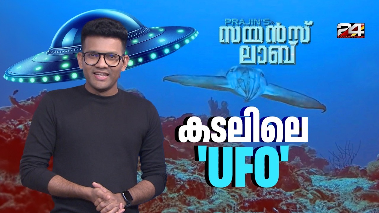 ഇന്തോനേഷ്യയിൽ ഗവേഷകർ കണ്ടെത്തിയ പുതിയ ഇനം കട്ടിൽഫിഷ്, നിറം മാറുന്ന വിരുദ്ധന്മാർ|Prajin's Science Lab