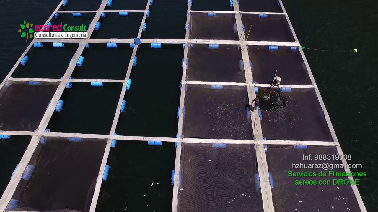 DRONES EN HUARAZ